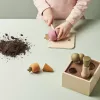 Cutie cu rasaduri - BISTRO - Kid's Concept