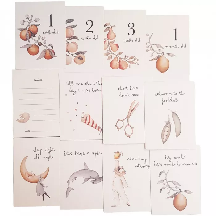 Set de cartonase pentru etapele din primul an al bebelusului - Konges Sløjd