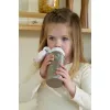 Sticla din inox cu capac flip 600 ml Fairy Wonders - Little Dutch