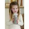 Sticla din inox cu capac flip 600 ml Fairy Wonders - Little Dutch