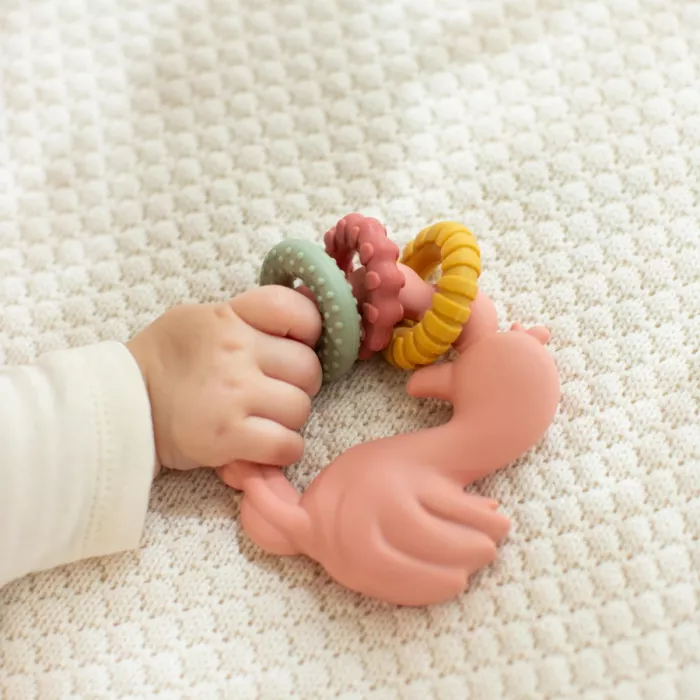 Jucarie de dentitie din silicon - Flamingo Pink - Safari Friends - Little Dutch