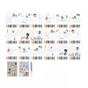 Carte de pictat cu acuarele si stickere - Jim Vehicles - Little Dutch
