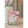 Carte de pictat cu acuarele si stickere - Rosa Fairy Garden - Little Dutch