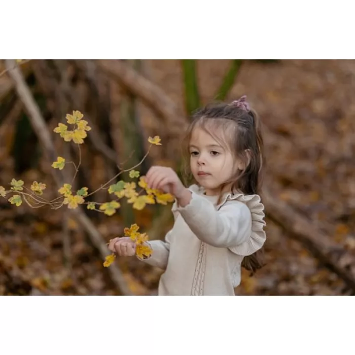 Bluza din tricot de bumbac organic cu volane - Fairy Garden - Sand - Little Dutch