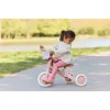 Cos de bicicleta pentru papusi - Little Dutch 