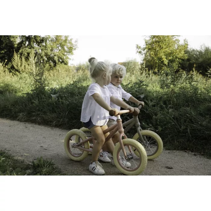 Bicicleta de echilibru fara pedale - Roz mat - Little Dutch