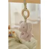 Centru de activități Baby Gym Safari Friends pentru bebeluși