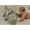 Crocodil senzorial de pluș pentru bebeluși Safari Friends