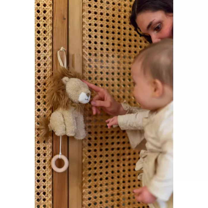 Cutie muzicală Leu pentru bebeluși Safari Friends
