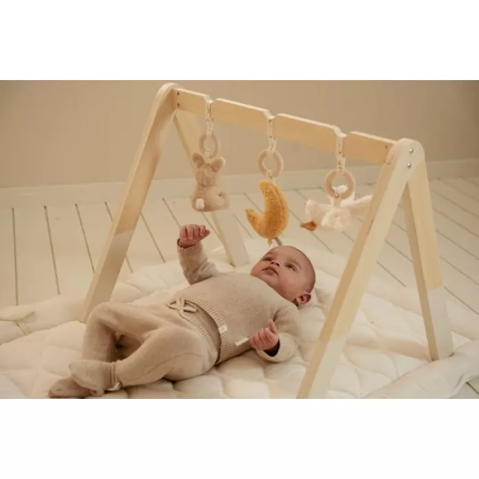 Centru de activitati pentru bebelusi - Baby Gym - Newborn Naturals - Little Dutch