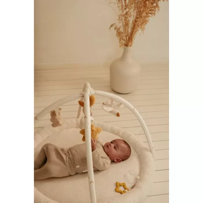 Centru de activitati pentru bebelusi - Newborn Naturals - Little Dutch