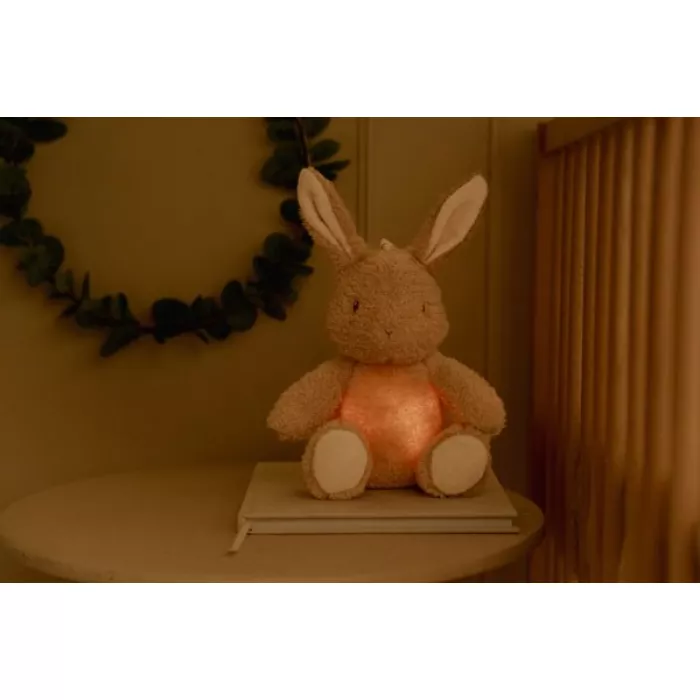 Jucarie din plus cu sunete albe si lumina de veche - Bunny -  Newborn Naturals - Little Dutch