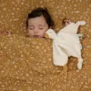 Doudou comforter pentru bebelusi - Gasca - colectia Little Goose - Little Dutch