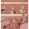 Centru de activitati pentru bebelusi - Baby Gym - colectia Flowers & Butterflies - Little Dutch