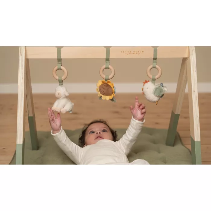 Centru de activitati pentru bebelusi - Baby Gym - colectia Little Farm - Little Dutch