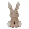 Jucarie din plus - Bunny - 25 cm - Colectia Baby Bunny - Little Dutch