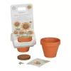 Ghiveci cu floarea-soarelui pitica - Little Dutch