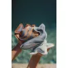 Jucarii pentru scufundare - 3 bucati - Ocean World - Little Dutch