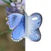 Jucarie de dentitie Blues the Butterfly din cauciuc natural - Oli & Carol