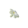 Jucarie de dentitie Bali the Flower din cauciuc natural - Oli & Carol