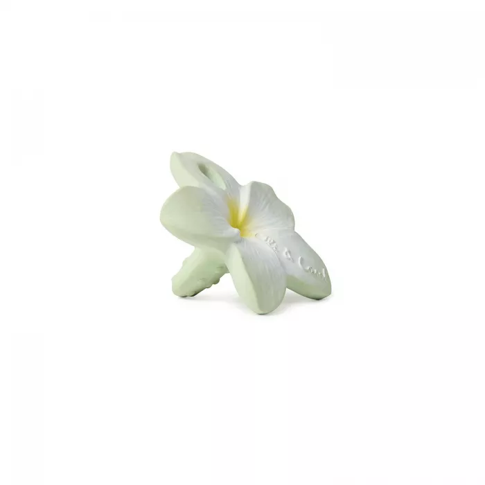 Jucarie de dentitie Bali the Flower din cauciuc natural - Oli & Carol