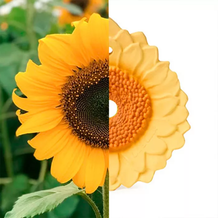 Jucarie de dentitie din cauciuc natural - Sunflower - Oli & Carol