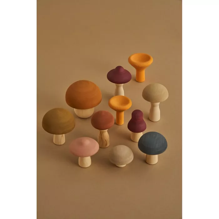 Set de ciupercute din lemn - Raduga Grez