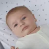 Cearsaf elastic pentru patutul portabil Moses - 2 bucati - Star - Shnuggle